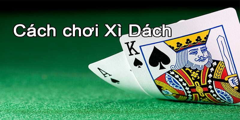 Xì Dách